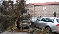 Na viacerých miestach Slovenska hrozí silný vietor, na hrebeňoch Tatier orkán