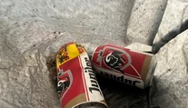 Nový zamestnanec múzea vyhodil exponát do koša. Myslel si, že sú to odpadky