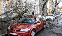 Zlé počasie vyčíňalo aj v Bratislave: Spadnuté múry, poškodené autá a polámané stromy