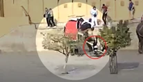 VIDEO: Desivý incident v Indii. Slonica chobotom schmatla ruskú turistku a začala s ňou točiť okolo seba