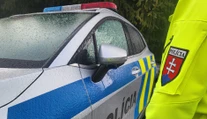 V Malinovej pri Prievidzi videli popoludní medveďa, upozornila polícia