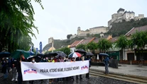 SaS znepokojuje, že KOZ podporuje referendum za predčasné voľby