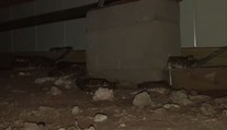 VIDEO: Hrozivý nález pod domom. Majiteľ tam našiel desiatky jedovatých štrkáčov