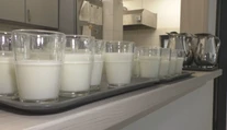 Mlieko niekto miluje, inému nevyhovuje. Zisťovali sme, ako je to s intoleranciou na laktózu