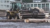 Projekt, ktorý môže pomôcť obciam ušetriť náklady na vykurovanie, sa nepáči vlastníkom lesov