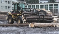 Projekt, ktorý môže pomôcť obciam ušetriť náklady na vykurovanie, sa nepáči vlastníkom lesov