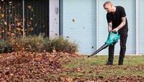 Najznámejší obraz na svete trochu inak. Umelec ho vytvoril z lístia