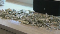 Rok šetrili peniaze, aby si splnili želanie. Vyše 1 000 dolárov im však skartoval syn (2)