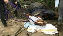 Koňa vystrašil ohňostroj a napichol sa na plot. Utrpel pritom škaredú ranu