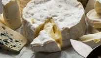 Milovníci syrov s plesňou budú mať hlavu v smútku. Dvom obľúbeným francúzskym lahôdkam hrozí zánik