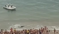 Panika na pláži v Španielsku. Ľudí vyhnal z vody viac ako dvojmetrový žralok