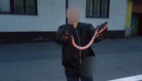 V bytovke v Rajci odchytili exotického hada
