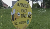 Niektoré mestá sa rozhodli nekosiť vybrané lokality. Nie všetkým sa to páči