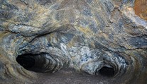 V Indii objavili pozostatky „najväčšieho hada, aký kedy žil“. Bol dlhší ako Tyrannosaurus Rex
