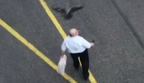Ľudí v Chorvátsku terorizujú agresívne vrany. Pre ich útoky sa boja vychádzať von