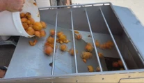 Takú katastrofálnu úrodu si nepamätajú. Niektoré pálenice to vzdali a zostali zatvorené