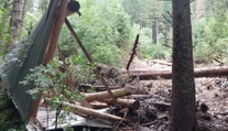 FOTO a VIDEO: Samá spúšť a popadané stromy. Belianske Tatry sa po tragédii ponorili do smútku