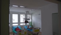 V Brezne sa šíri kliešťová encefalitída. Zistili sme, odkiaľ pochádza nákaza