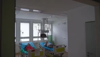 V Brezne sa šíri kliešťová encefalitída. Zistili sme, odkiaľ pochádza nákaza