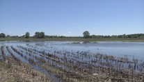 Farmári na Zemplíne nemôžu na polia. Ak chcú na pôdu dotáciu, zasiať musia čo najskôr