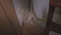 Vlhkosť ako v teráriu. Obyvatelia bytovky sa pre plesnivé steny roky naťahujú so staviteľom