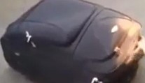 Migrant sa chcel dostať do Švajčiarska. Pozrite sa, kde sa ukryl