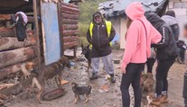 Odchyt psov v Chminianskych Jakubovanoch sa zmenil na drámu. Správanie starostu nás šokovalo