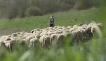 Vytúžená jar má trpkú príchuť. V Brusne na Pohroní podľahol covidu najlepší bača