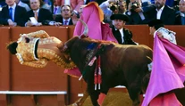 Bolesť, akú ste nevideli. Na veľké prekvapenie to matador rozchodil
