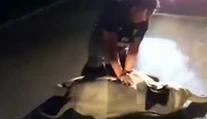 VIDEO: Záchranár je ospevovaným hrdinom. V civile oživoval zrazené slonie mláďa