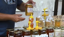 Včelári z celého Slovenska hlásia nedostatok medu. Na trhu môžu pribúdať falošné výrobky