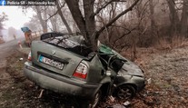 Dostal šmyk a narazil do stromu. Vodič nemal šancu náraz prežiť
