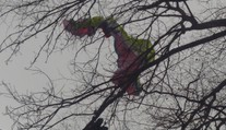 Paraglajdista skončil na strome pri Malackách. Zachraňovali ho aj hasiči