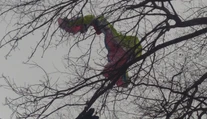 Paraglajdista skončil na strome pri Malackách. Zachraňovali ho aj hasiči