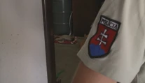 Otrasný prípad z ranča v Nemeckej: Vzácneho klokana niekto zastrelil a odzeral mu hlavu