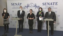 Český Senát odporučil odobrať prezidentovi Zemanovi právomoci