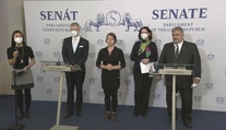 Český Senát odporučil odobrať prezidentovi Zemanovi právomoci