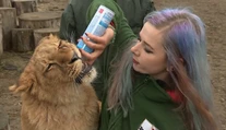 Chceli by ste sa v ZOO dotýkať zvierat? Tento trend už dorazil aj na Slovensko
