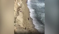 Kite surfer uviazol na pláži, no zachoval chladnú hlavu. Vďaka nápisu z kameňov k nemu prileteli záchranári