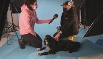 Koncerty vymenil za domácich miláčikov. Fotograf Adam sa snaží v portrétoch zachytiť psiu dušu