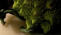 V bratislavskom supermarkete si kúpil rímsky karfiol, doma mu z neho vybehol škorpión