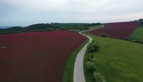Raj pre fotografov i romantikov: O toto miesto na Slovensku do koronakrízy nikto ani nezavadil