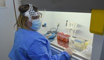 Vedci varujú pred novým kmeňom vírusu, ktorý spôsobuje krvácajúcu horúčku Chaparé