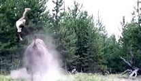 VIDEO: Bizón zaútočil na dievčatko (9). Vyhodil ju do vzduchu ako nič