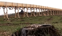 VIDEO: Starosta v Maďarsku z dotácie EÚ postavil chodník v korunách stromov. Za obeť padol celý les
