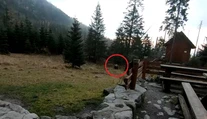 Vybrali sme sa po stopách chýrnej líšky. Nevinné nakrúcanie sa zmenilo na dobrodružstvo