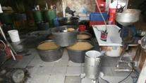 FOTO: Myší trus a pleseň. Inšpektori odhalili nelegálnu výrobňu tofu