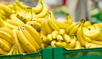 Šokujúci nález v supermarketoch v Berlíne. V prepravkách s banánmi našli drogy
