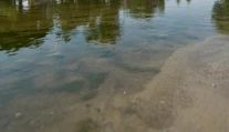 V rieke Tisa v Maďarsku sa utopili deti