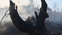 Výročie havárie DC-3: Letenka do Košíc na vlastnú svadbu sa jej stala osudnou